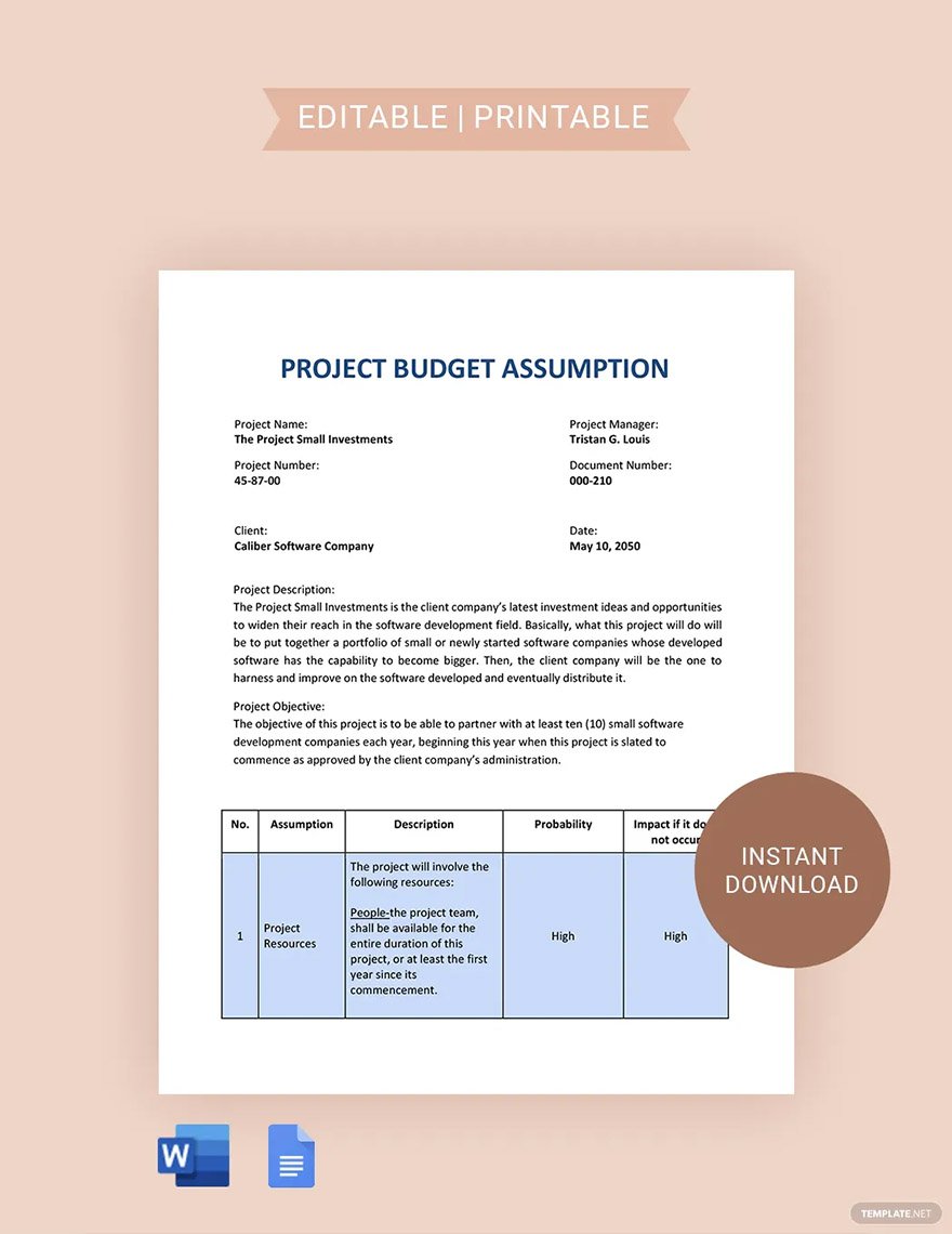 budget assumptions
