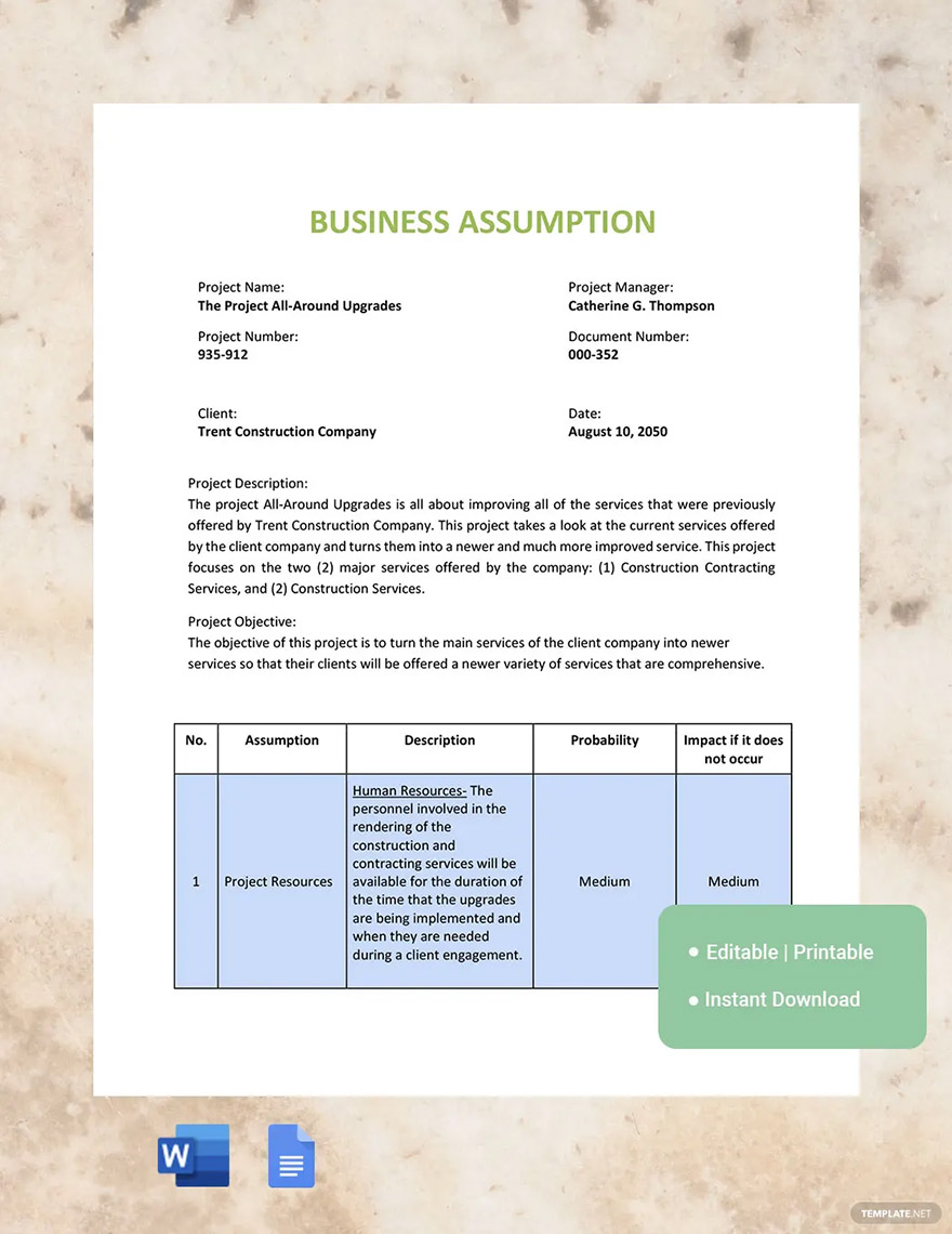 how to write assumptions for a business plan