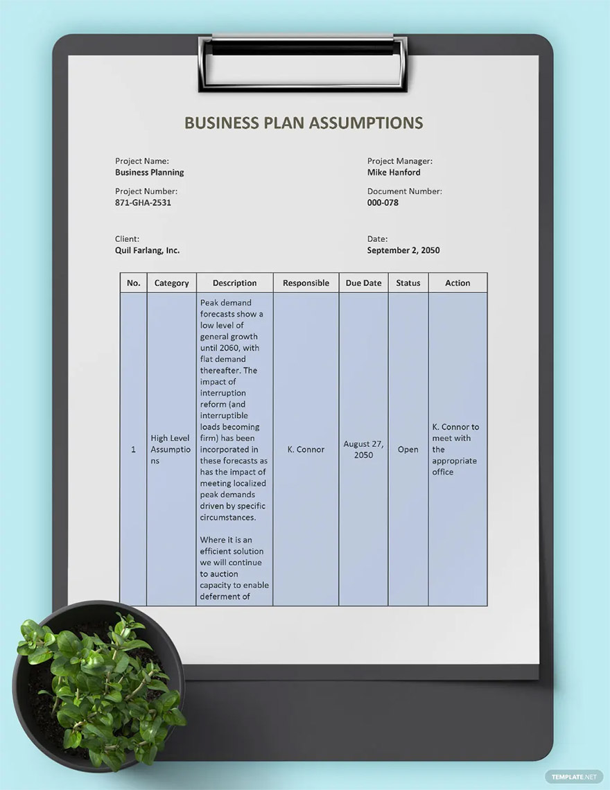 business plan assumption ideas and examples