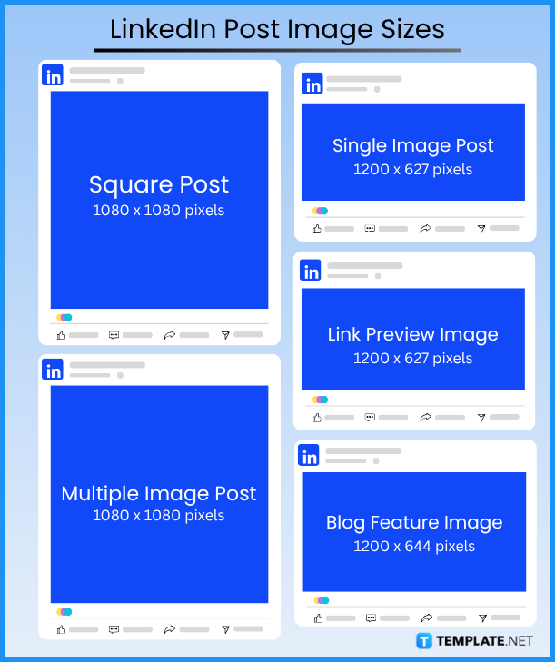 Background Photo For Linkedin Size In Pixels Converter Free ...