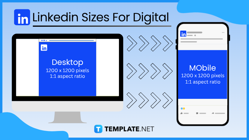 Linkedin Sizes