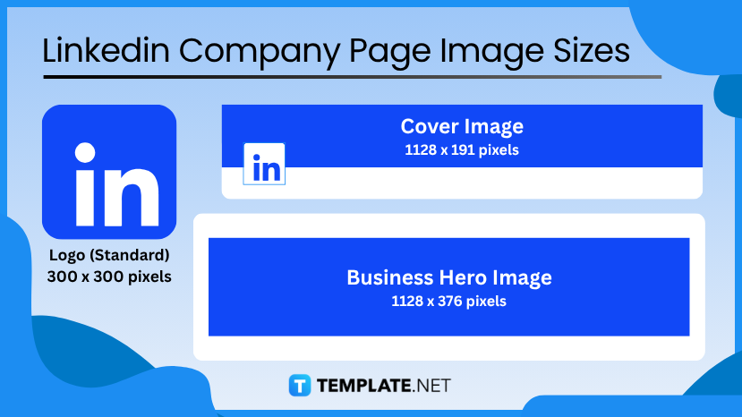 Linkedin Sizes