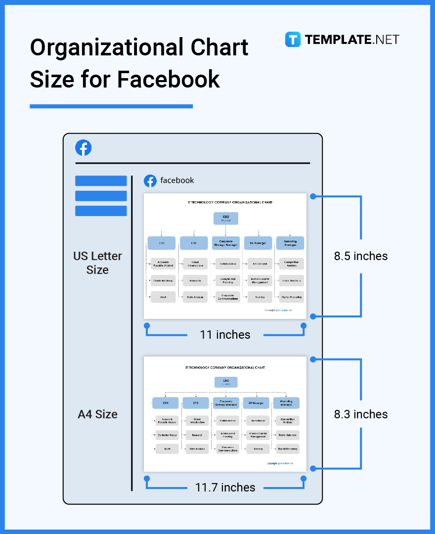 organizational chart size for facebook