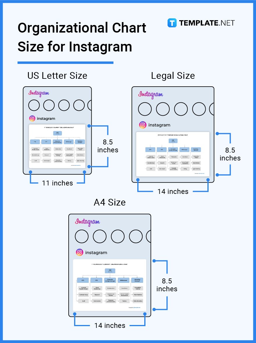organizational chart size for instagram
