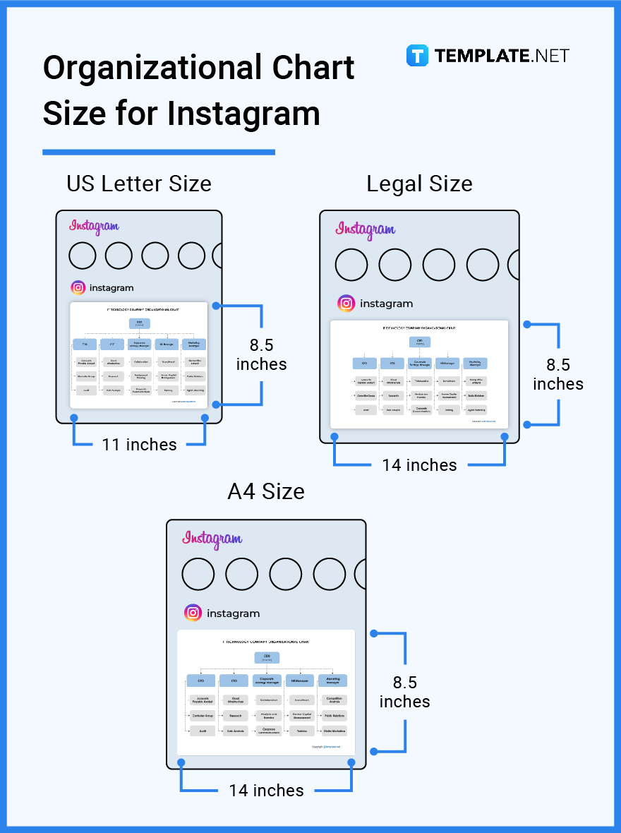 Organizational Chart Size Dimension, Inches, mm, cms, Pixel