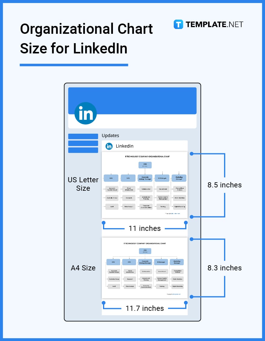 organizational chart size for linkedin