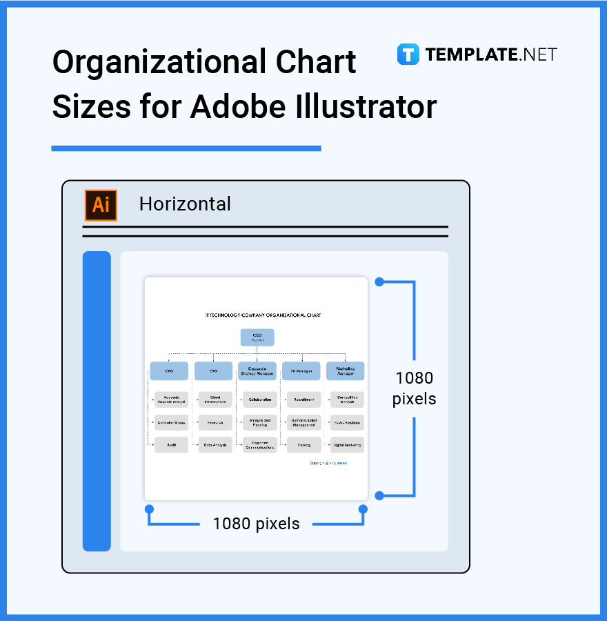 organizational chart sizes for adobe illustrator