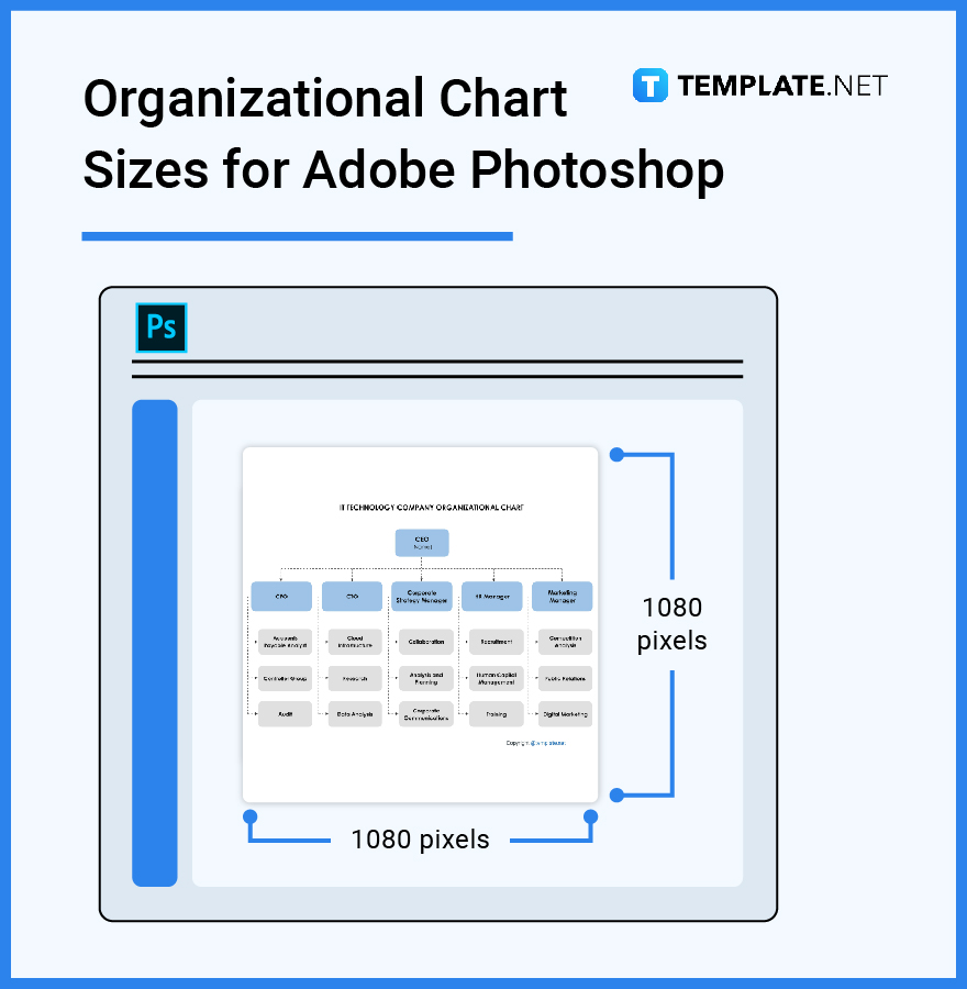 organizational chart sizes for adobe photoshop