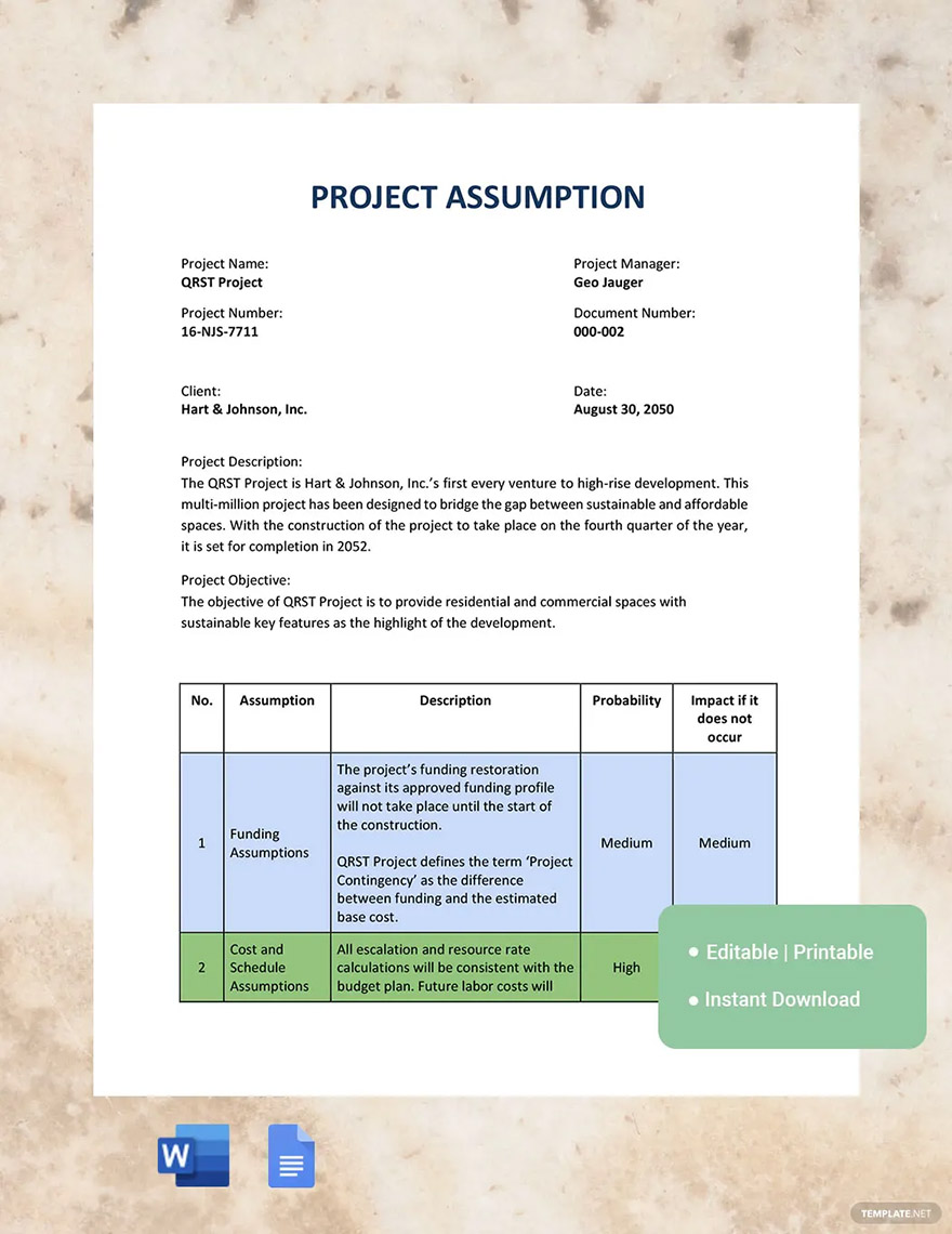 project assumption ideas and examples