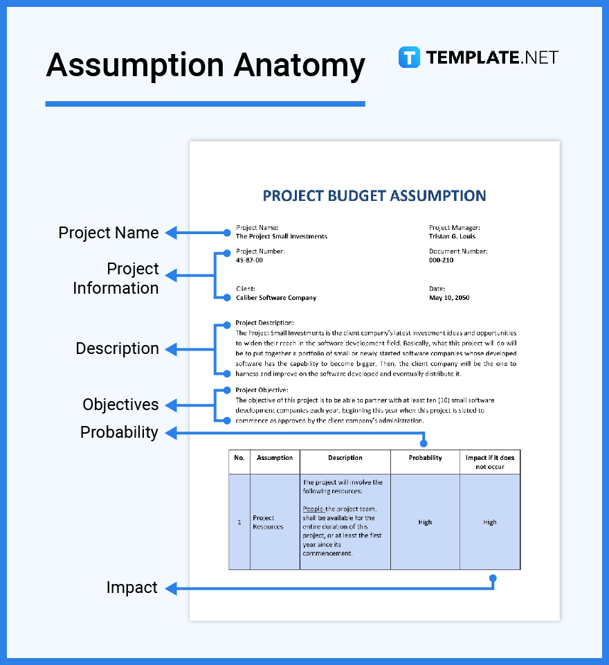 assignment assumption definition