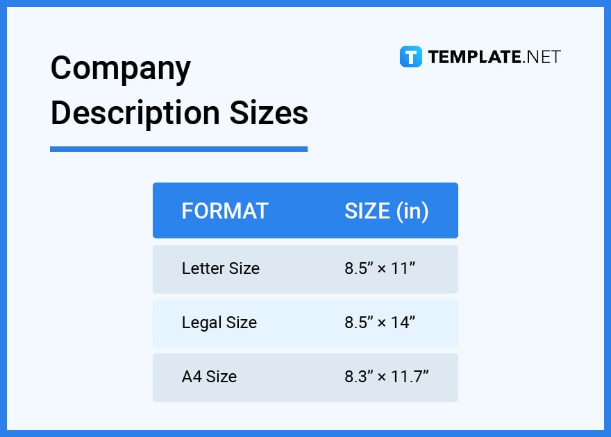 company description sizes