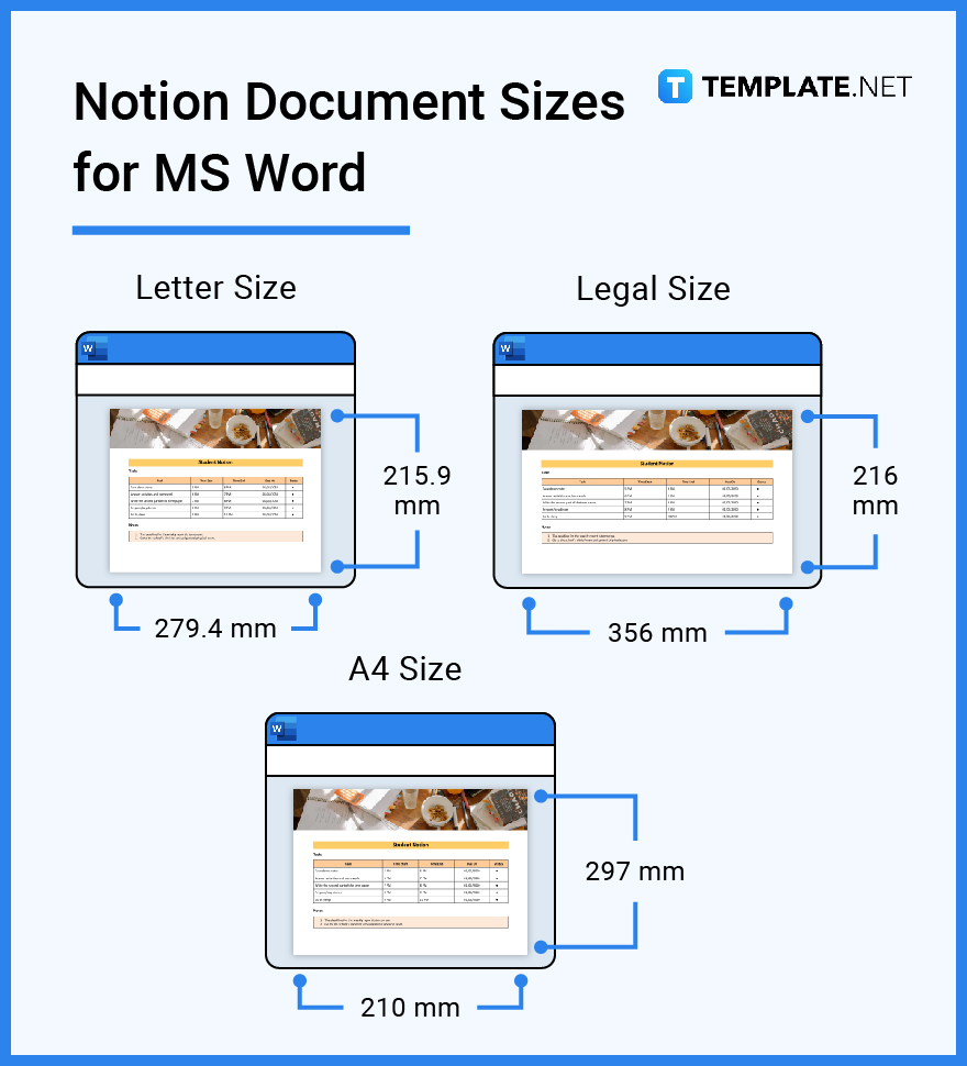 notion document sizes for ms word