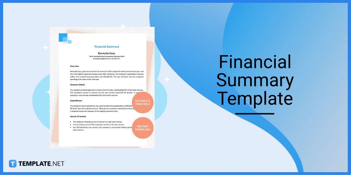 financial summary template