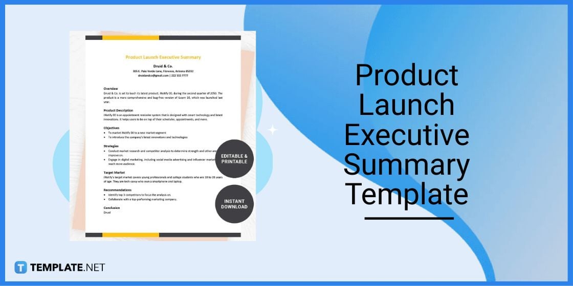 product launch executive summary template