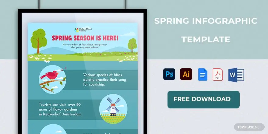 spring infographics