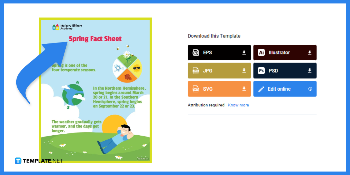 how to create spring fact sheet in google docs template example 2023 step