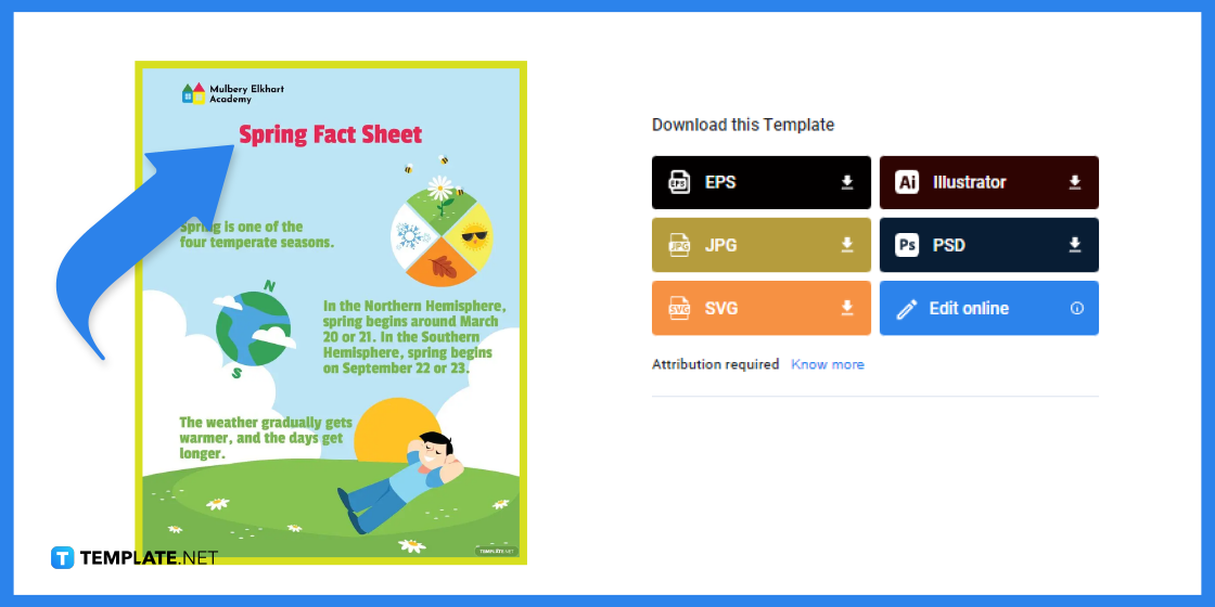 how-to-make-create-spring-fact-sheet-in-google-docs-template-example