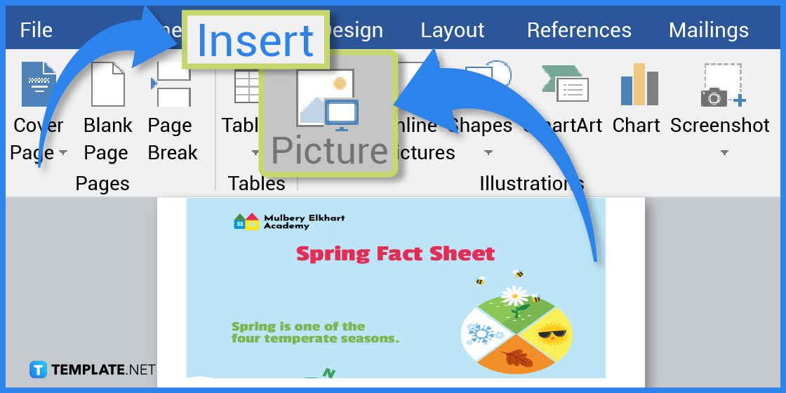 how to create spring fact sheet in microsoft word template example 2023 step