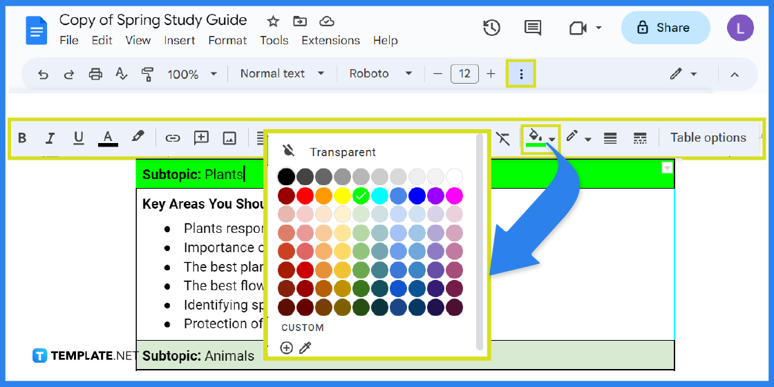 how to create a spring study guide in google docs template example 2023 step 10