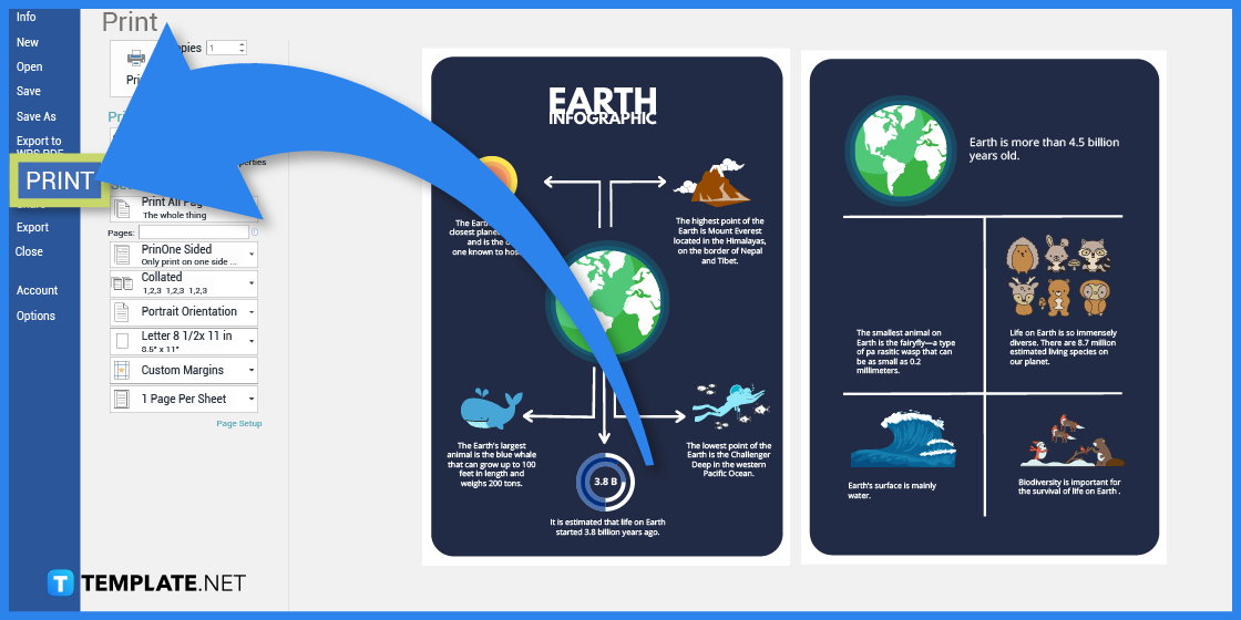 comment créer une infographie de la terre dans l'exemple de modèle Microsoft Word 2023 étape 10