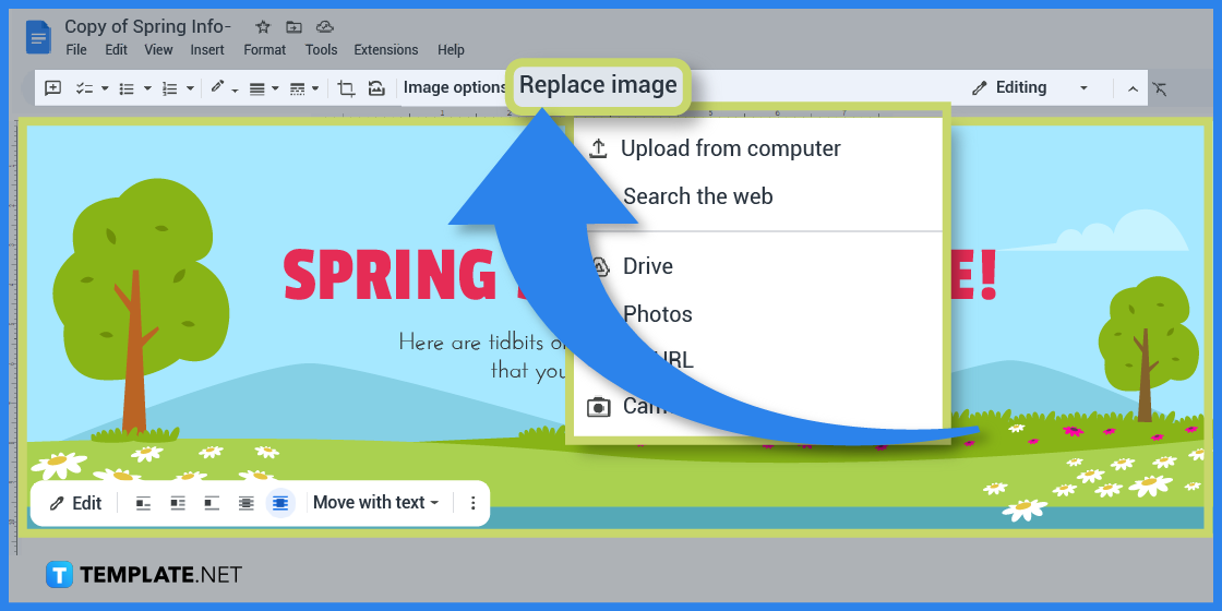 comment créer une infographie de printemps dans l'exemple de modèle google docs 2023 étape