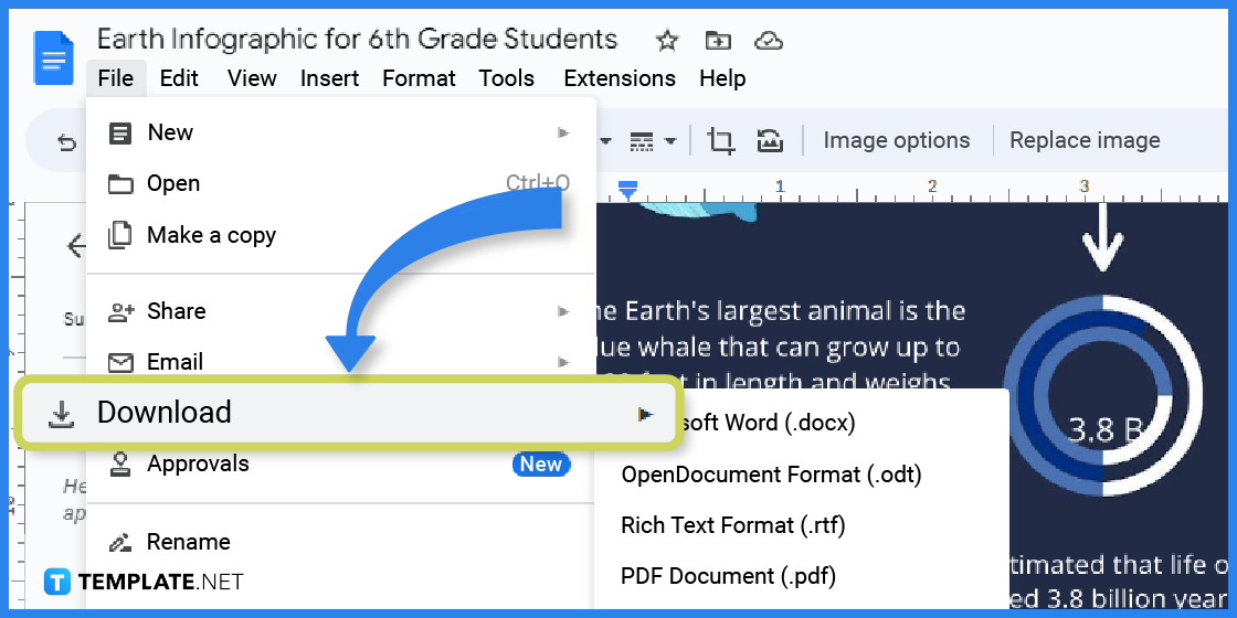 how to make earth infographic in google docs template example 2023 step