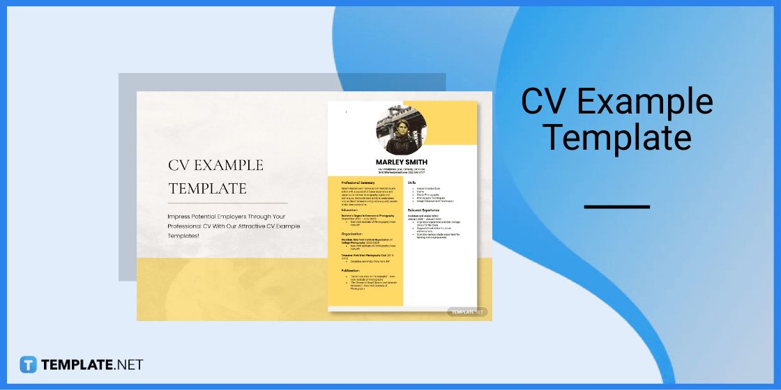 cv example template