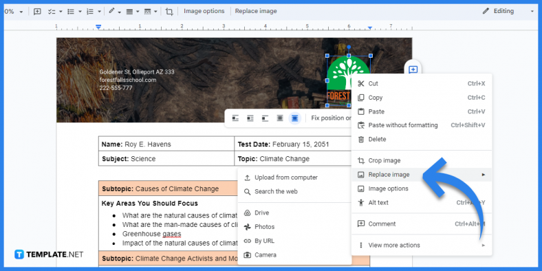how to create climate change guide in google docs template example 2023 step 5 788x