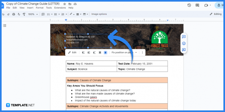 how to make climate change guide in google docs template example 2023 step 4 788x