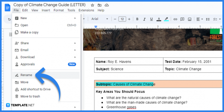how to make climate change guide in google docs template example 2023 step 8 788x