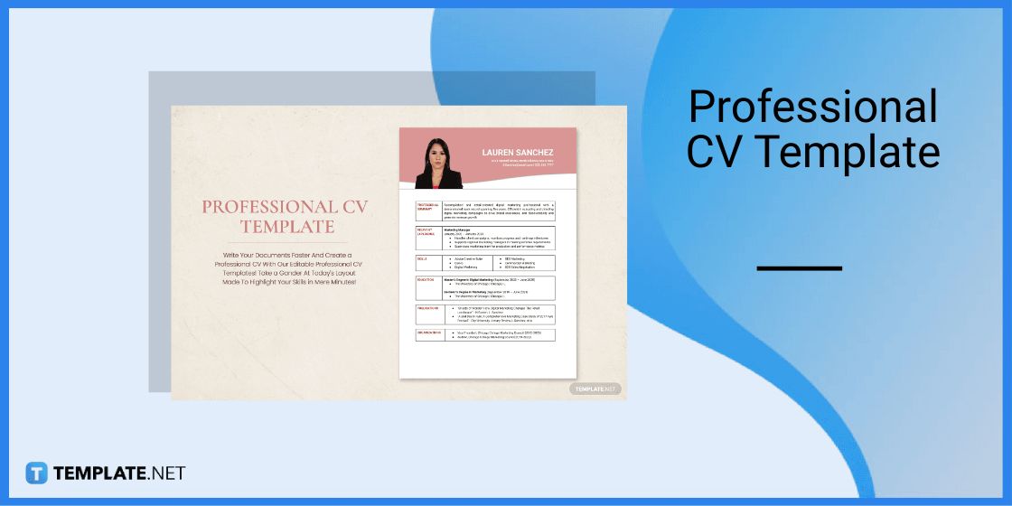 professional cv template