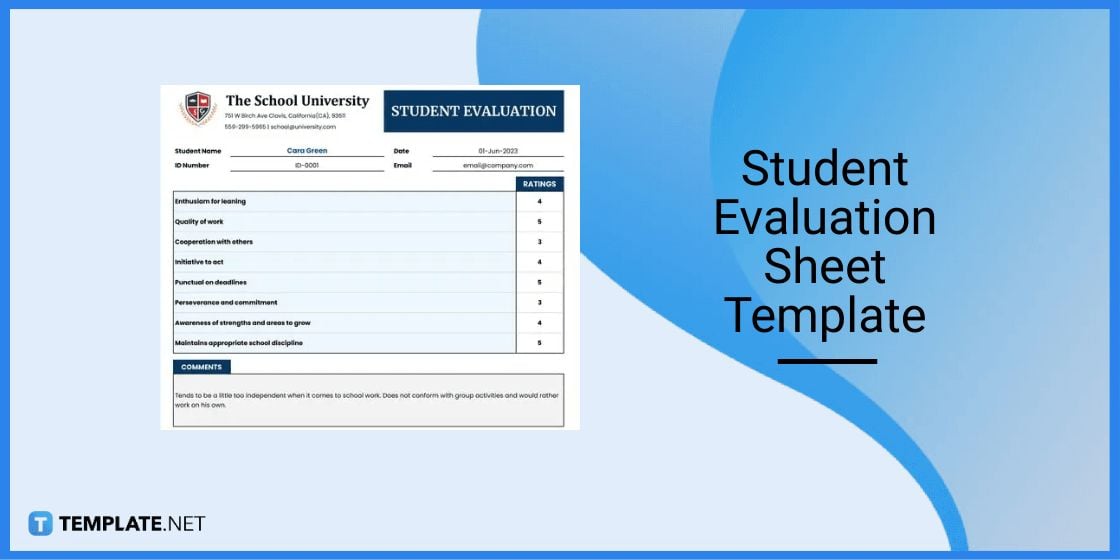 student evaluation sheet template