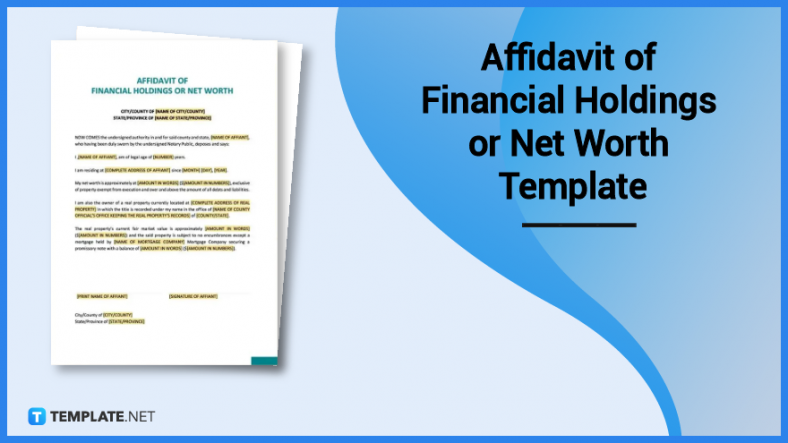 affidavit of financial holdings or net worth template 788x