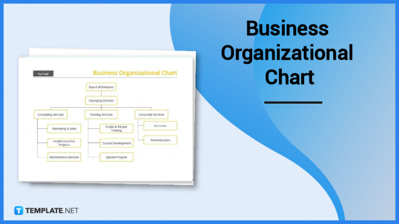 business organizational chart 788x