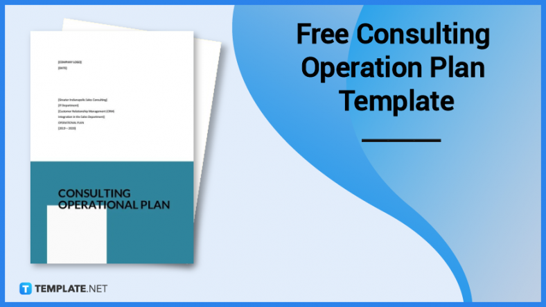 free consulting operation plan template 788x