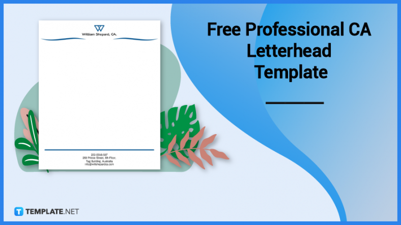 free professional ca letterhead template 788x