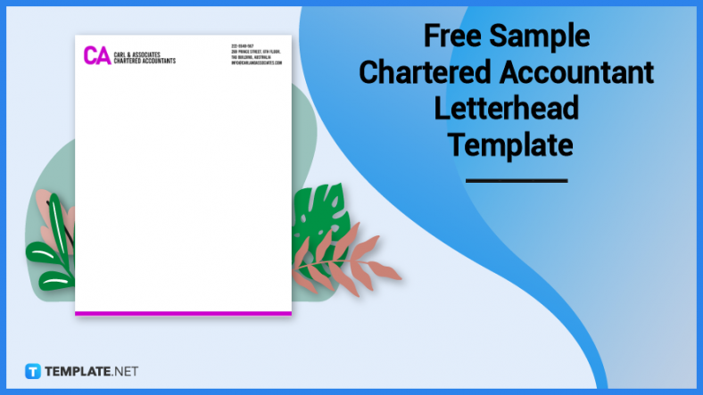 free sample chartered accountant letterhead template 788x