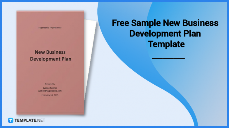 free sample new business development plan template 788x
