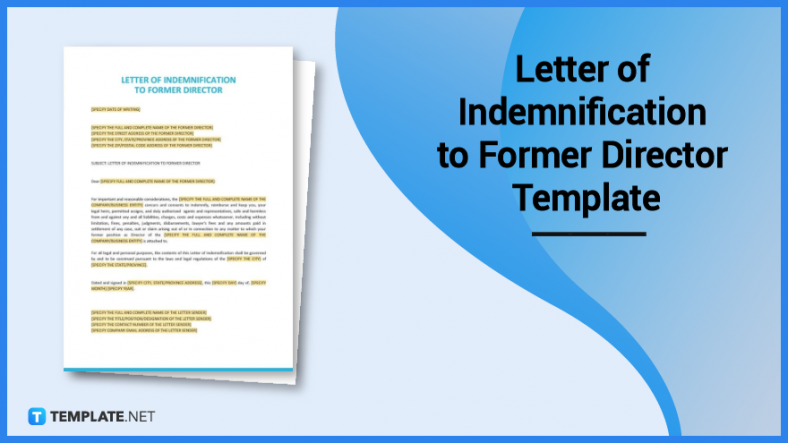 letter of indemnification to former director template 788x