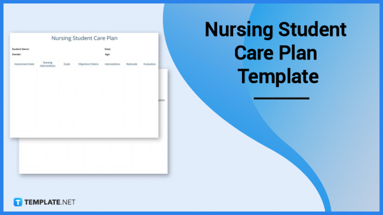 nursing student care plan template 788x
