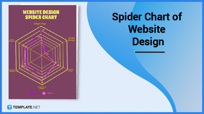 spider chart of website design 788x