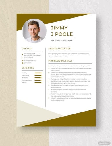 legal resume template word