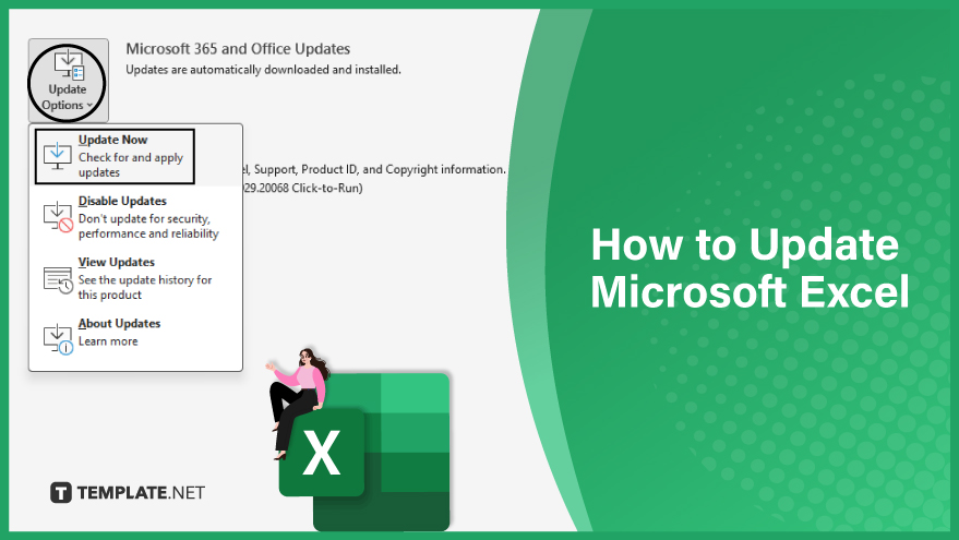 Microsoft Excel, Description & History