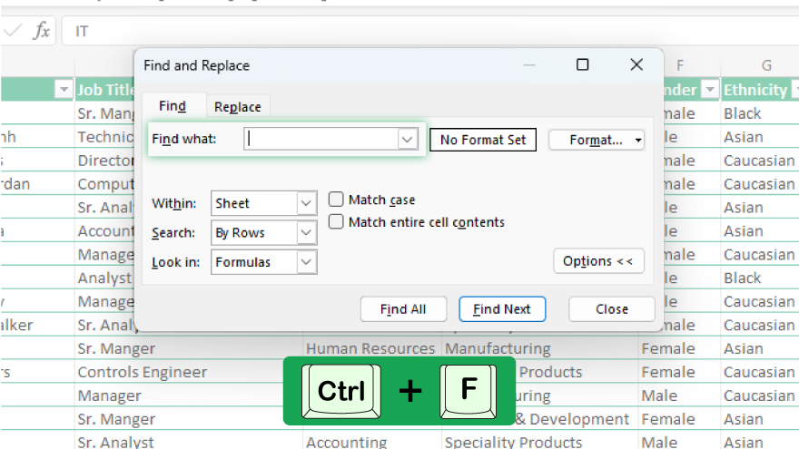 using the excel find feature