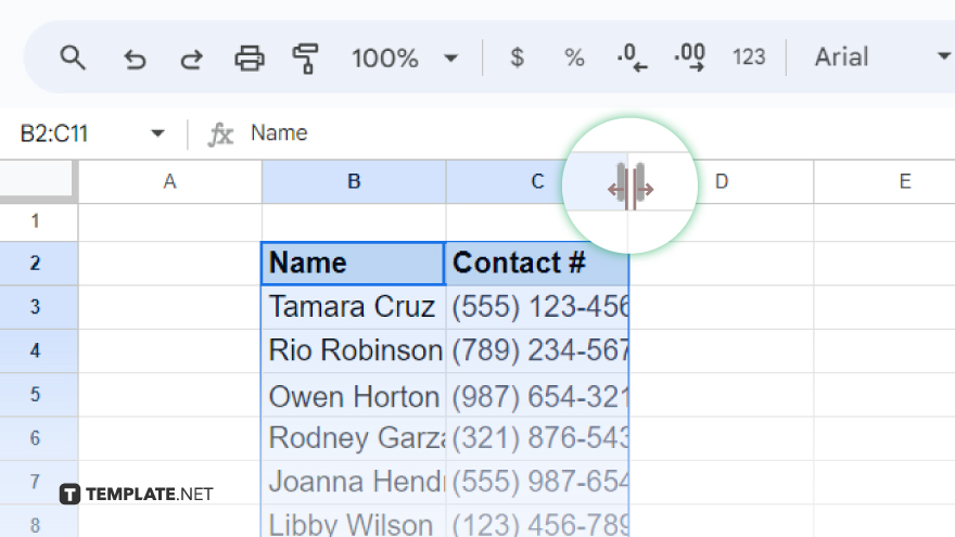 adjusting cell size manually