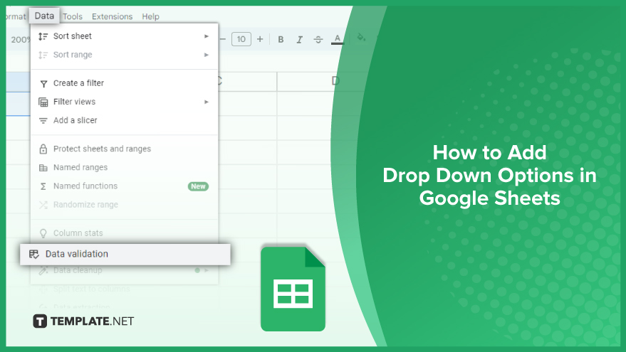 how to add drop down options in google sheets