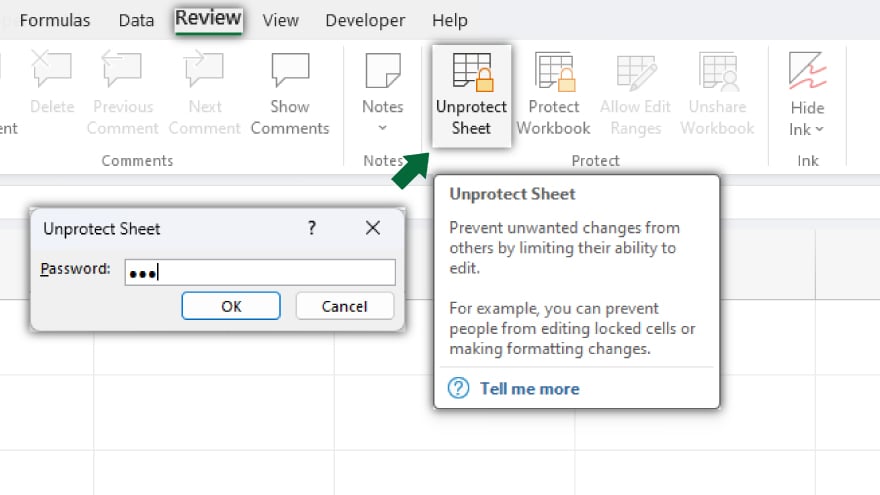 step by step unprotecting an excel sheet