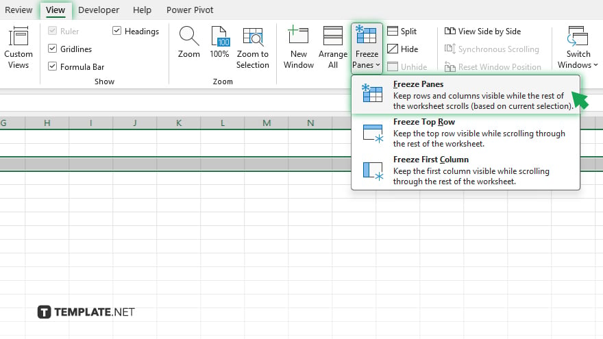 freezing the top two rows in excel