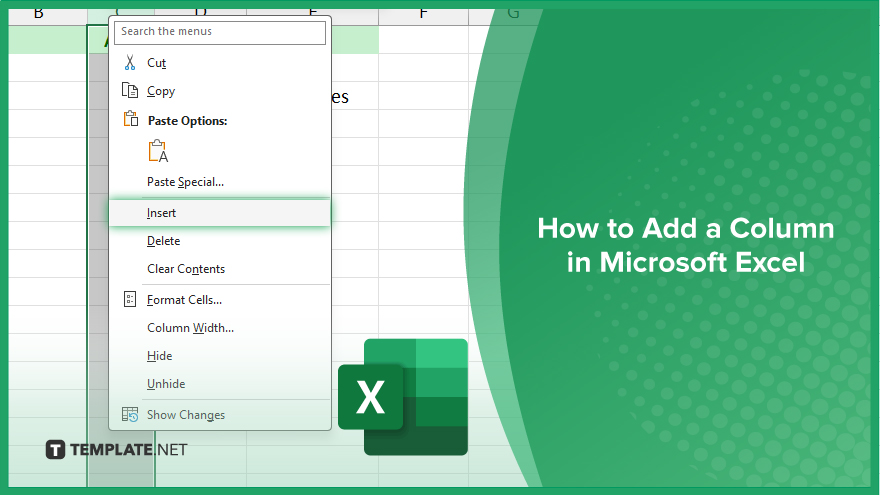 How to Add a Column in Microsoft Excel [ + Video ]