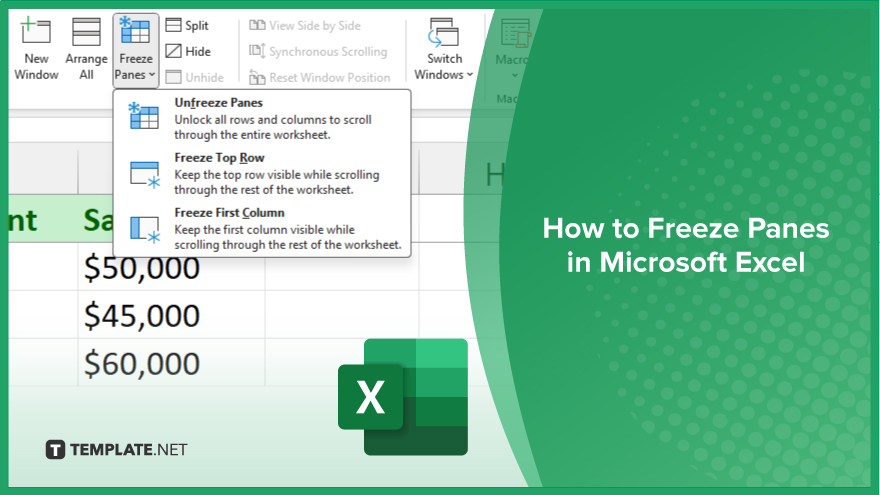 How to Freeze Panes in Microsoft Excel Video